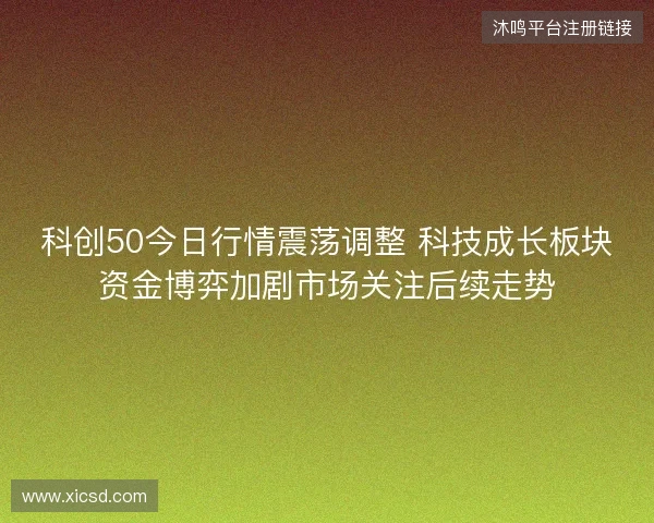 科创50今日行情震荡调整 科技成长板块资金博弈加剧市场关注后续走势